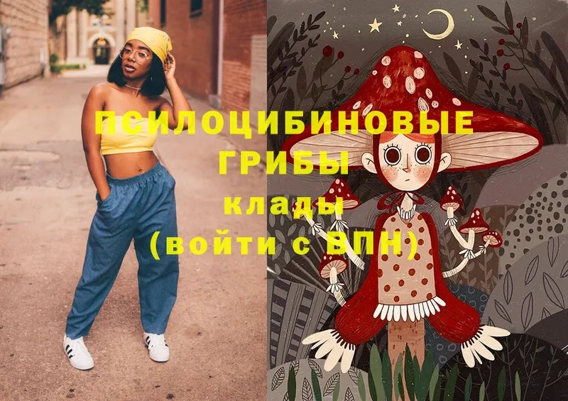 Галлюциногенные грибы Magic Shrooms  Нестеров 